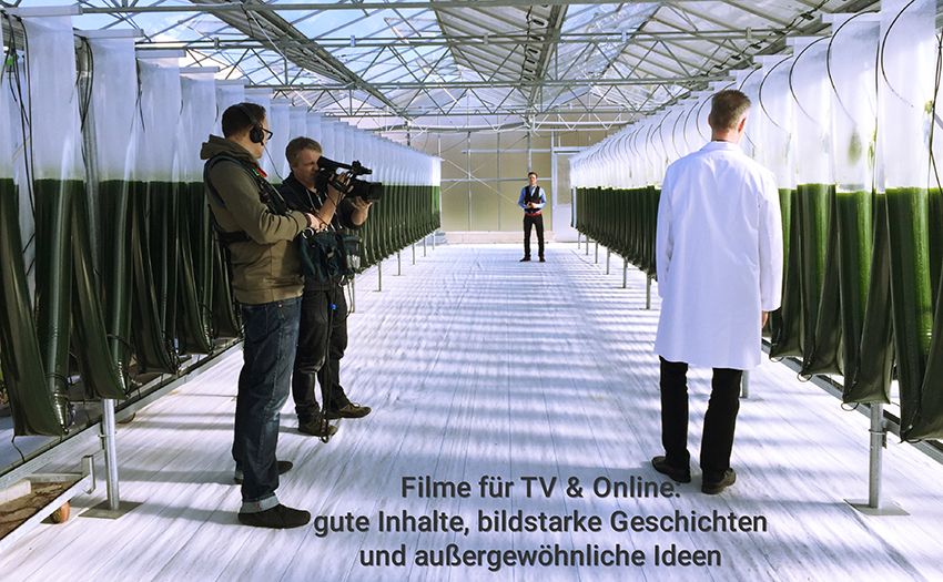 wissenswert - TV & Online Filme